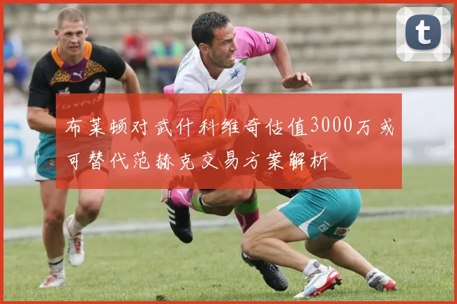 布莱顿对武什科维奇估值3000万或可替代范赫克交易方案解析