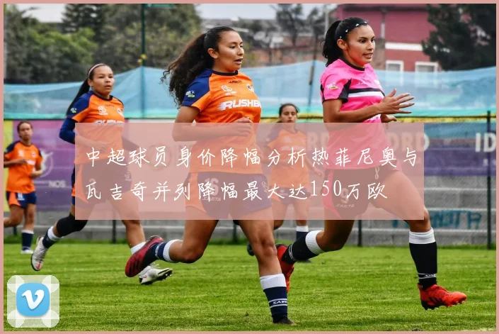 中超球员身价降幅分析热菲尼奥与瓦吉奇并列降幅最大达150万欧
